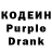 Кодеин Purple Drank Rena Gordios